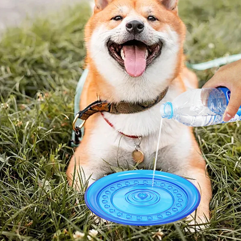 Frisbee durable et résistant a - Frisbee Freestyle Disc avis et prix