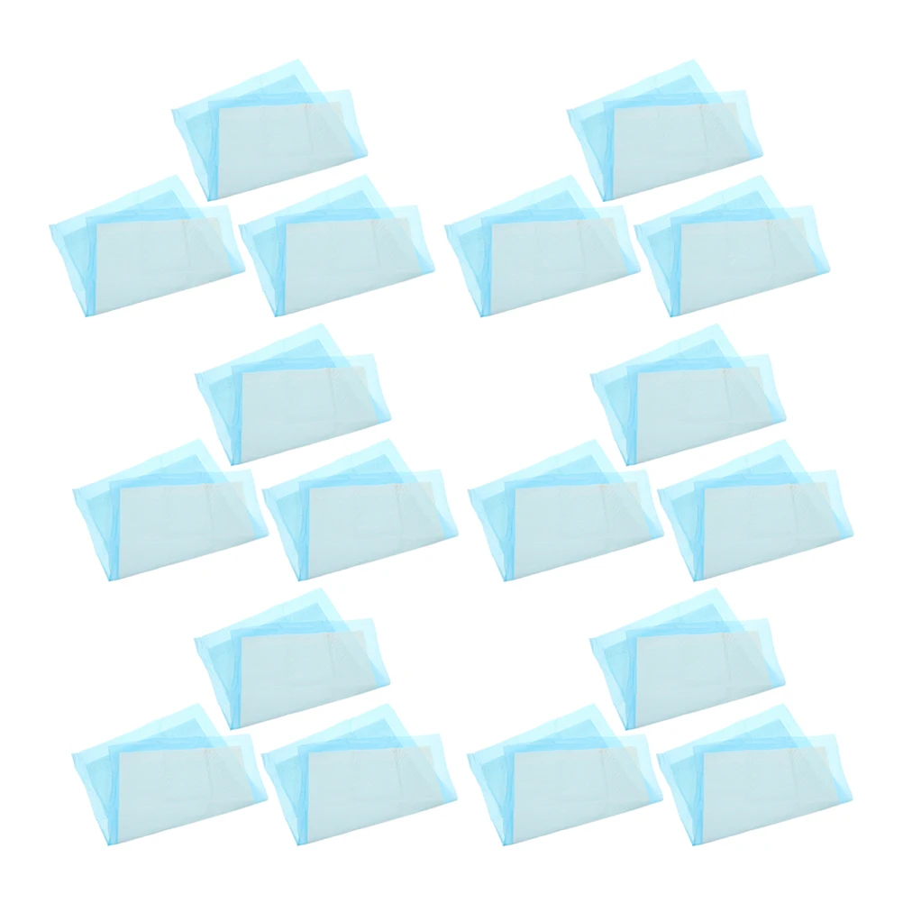 

20Pcs Super Absorbent Pet Training Pads Disposable Puppy Pee Pads for Dogs Cats Waterproof Leak-Proof Household Potty