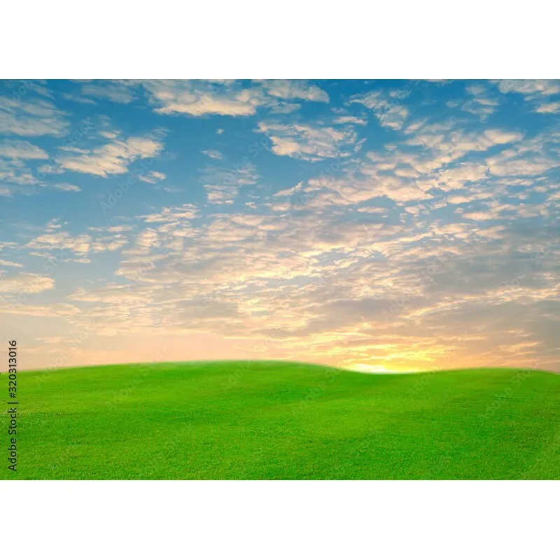 Puntelli di fotografia di paesaggio naturale erba verde e cielo blu con nuvole bianche sfondo fotografico puntelli da Studio 211223 KKLL-04