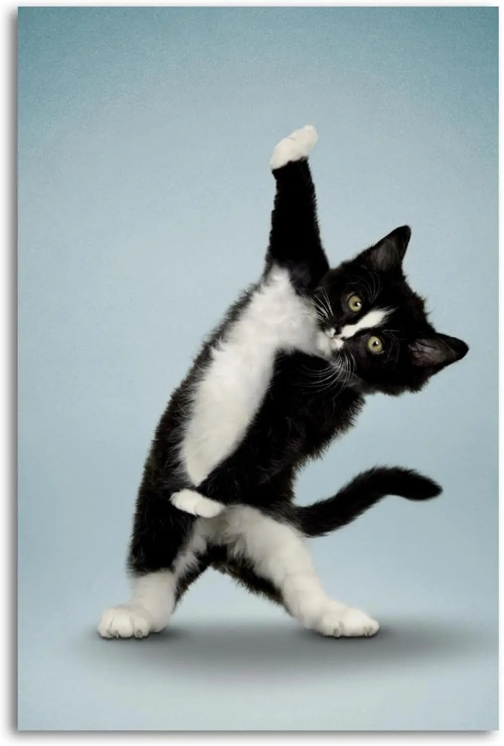 Metal Tin Signs Yoga Black Cat Sign Vintage Wall Decor Tin Sign Plaque for Home Cafes Office Store Pubs Club ;