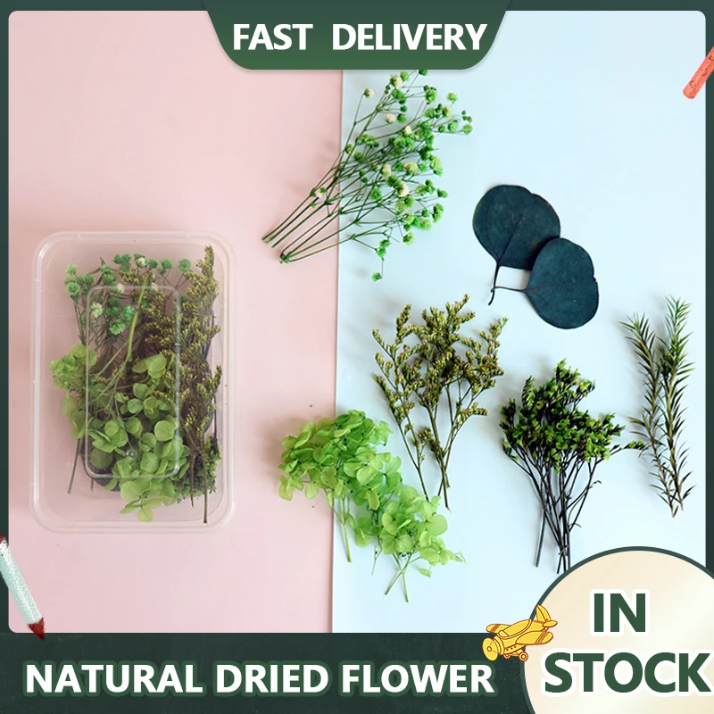 1 caixa de flores secas naturais misturadas flores secas material diy arte decorações florais coleção presente artesanato diy decoração para casa