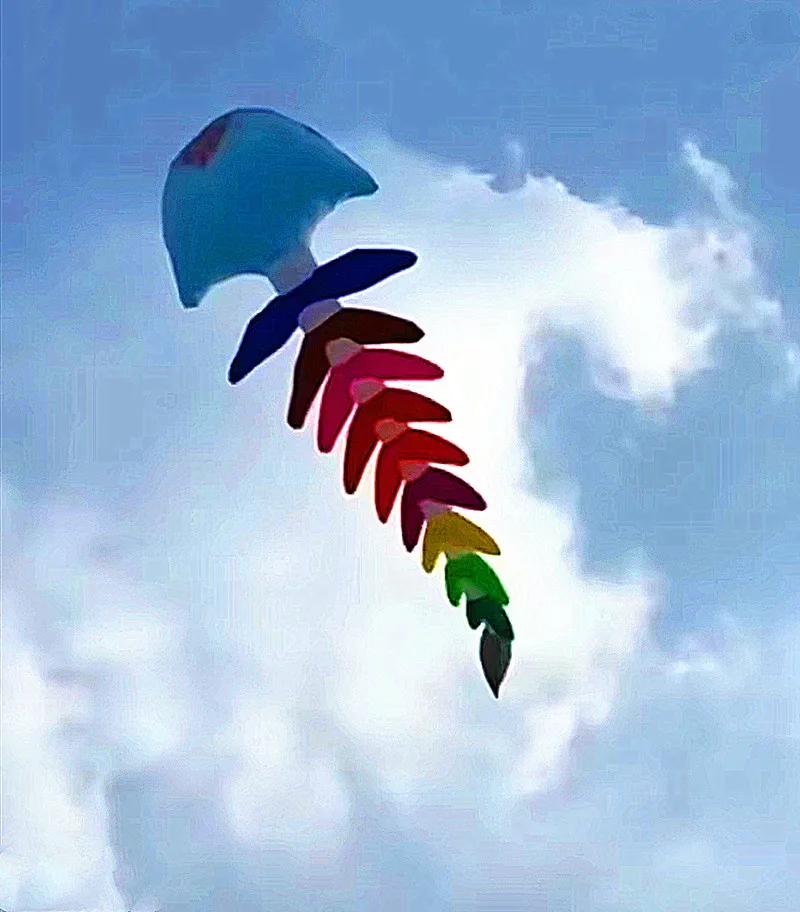 Fishbone cerfs-volants doux pendentif trompos cometa puissance cerf-volant jeux de plein air drachen fliegen kinder Flying serpent flyreel vlieger pipa fun