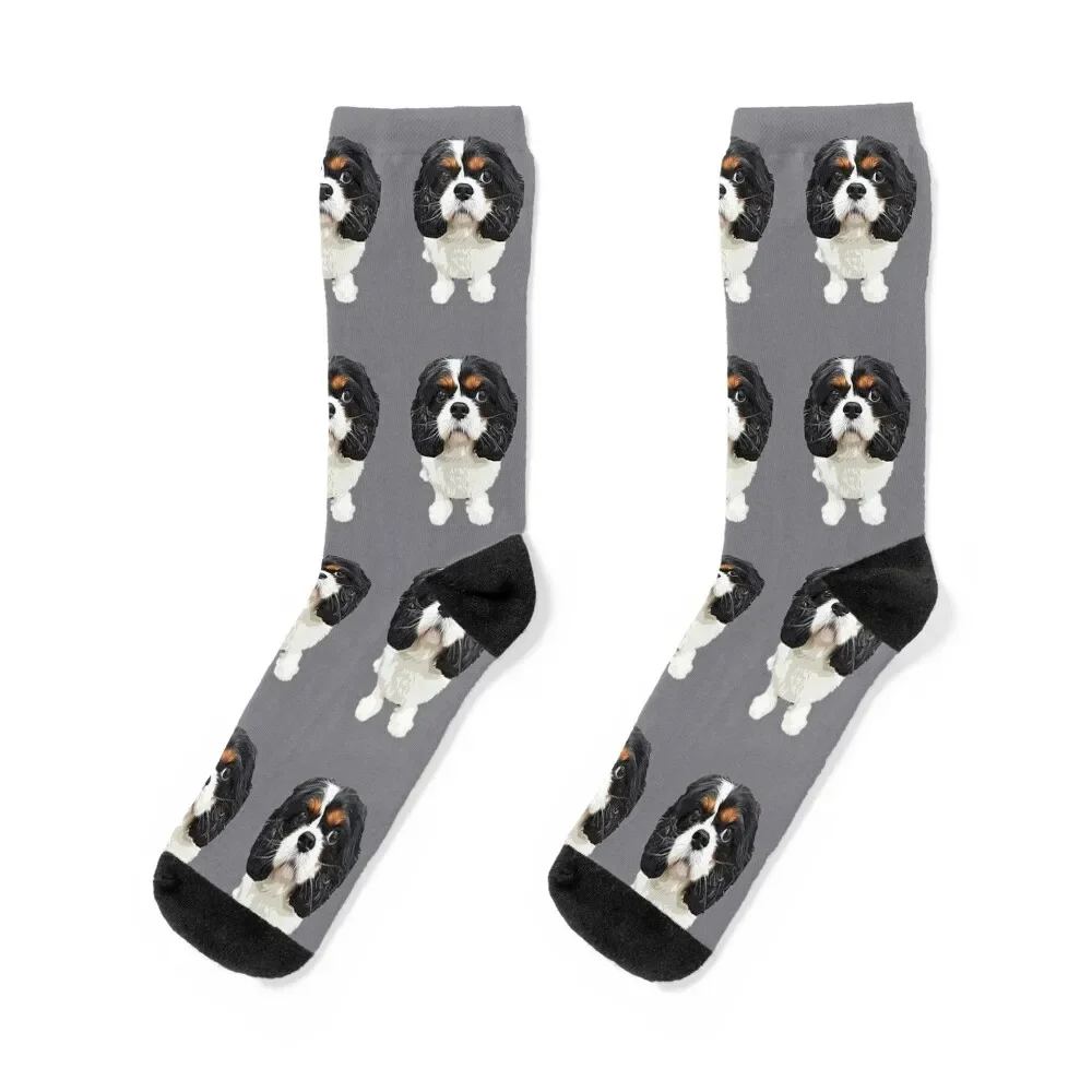 

Cavalier King Charles Spaniel Tri Socks shoes Toe sports Stockings compression Antiskid soccer Male Socks Women's