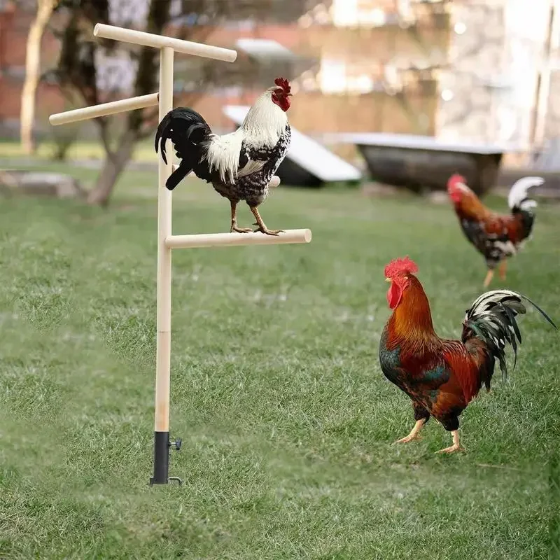 Chicken Standing Perch Outdoor Poultry Chicken Stand Perch Toy Playground Birds Training Branch Perch with Ground Plug For