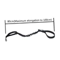 Black leash