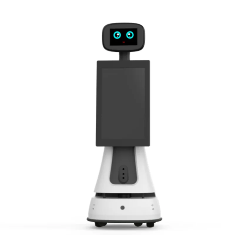 Custom AI Reception Robot, Customer Welcome and Guidance, Smart Service Robot with Interactive Display