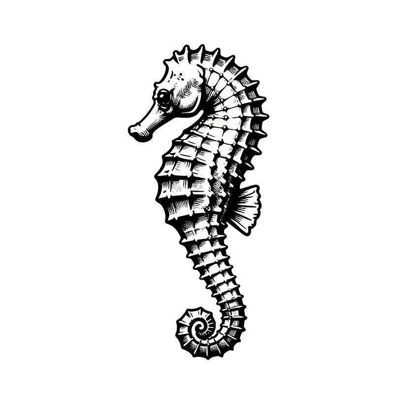 Ocean Creature Heat Transfer Vinyl HTV Iron On Patch DIY Clothing Decal Craft Transfer Film for T-Shirt Sticker for Scrapbooking