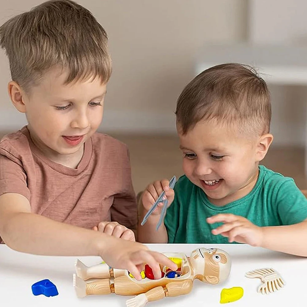 Knochen organe Skelett Modell montiert Spielzeug für Kinder Puzzle frühen Lernspiel zeug für Jungen Mädchen Kinder