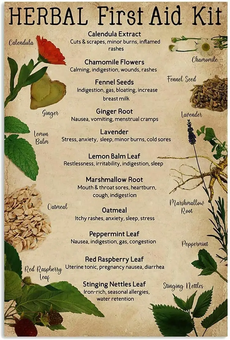 Herbal First Aid Kit Metal Signs First Aid Posters Home Room Wall Decor Hiking Camping Trip Study Guide Plaque Decoration 12x8 I