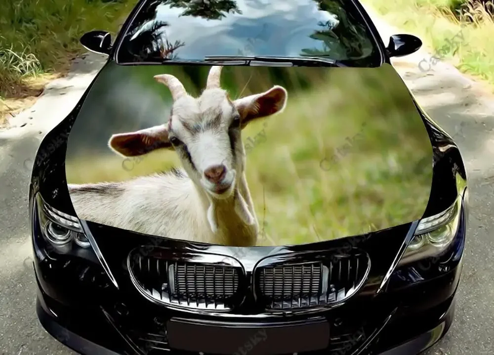 

goat animal Car hood vinyl stickers wrapped PVC film hood decals stickers general car modified hood protection stickers