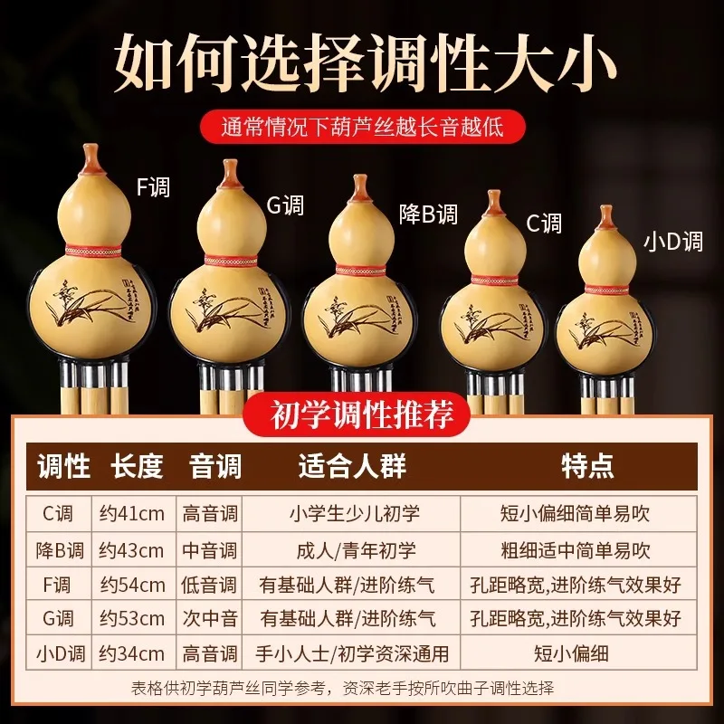 Jinsinan Bamboo Gourd Silk C B G Key Musical Instrument Beginner Professional