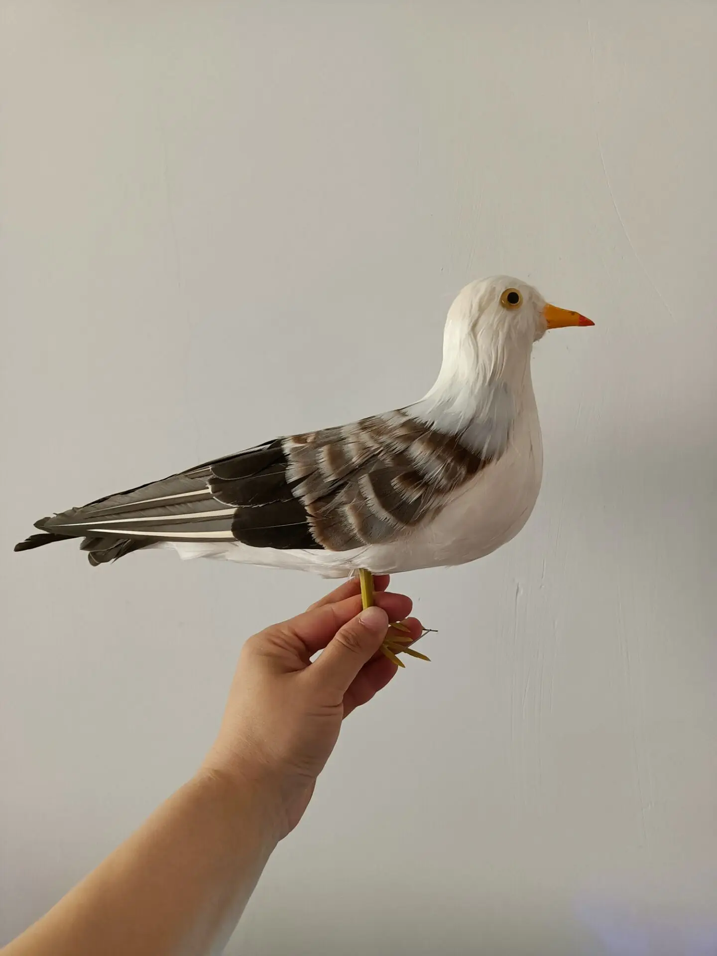 new simulation foam and feather seagull model gift about 30cm a0014