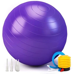 75cm/65cm Fitness Yoga Ball Pilates PVC Exercise Ball for Pregnancy, Fitness,Workout and Physical Therapy Balance Ball with Pump