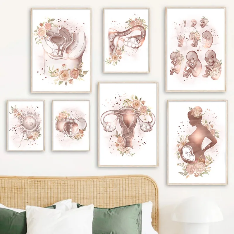 Gynecology Female Anatomy Fertility Pregnancy Posters Prints Diamond Painting Wall Art Picture Obstetrics Decor Gynecologist G