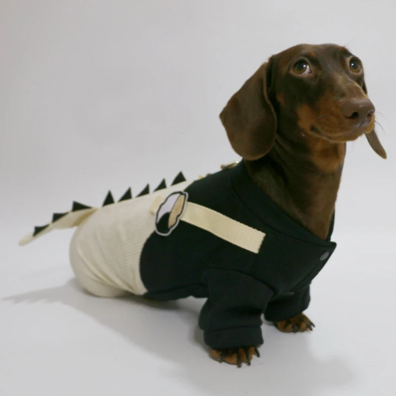 Sudadera con capucha de salchicha para perro con forma de dinosaurio, jersey para perro pequeño, Wiener, tejón, perro salchicha, Mascotas, disfraz, ropa, cachorro