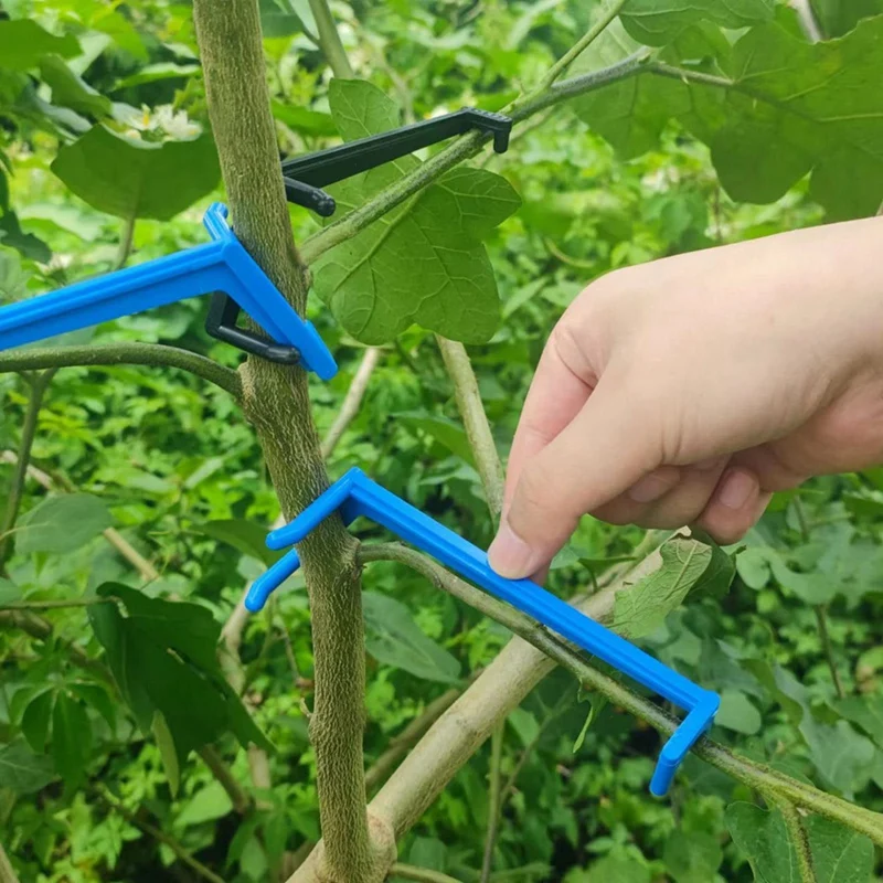 Plant Stem Trained ผลไม้สาขาต้นไม้ PULLER เครื่องผูกเครื่องมือฟาร์มใหม่ Plum Tree เปิดมุมดึง