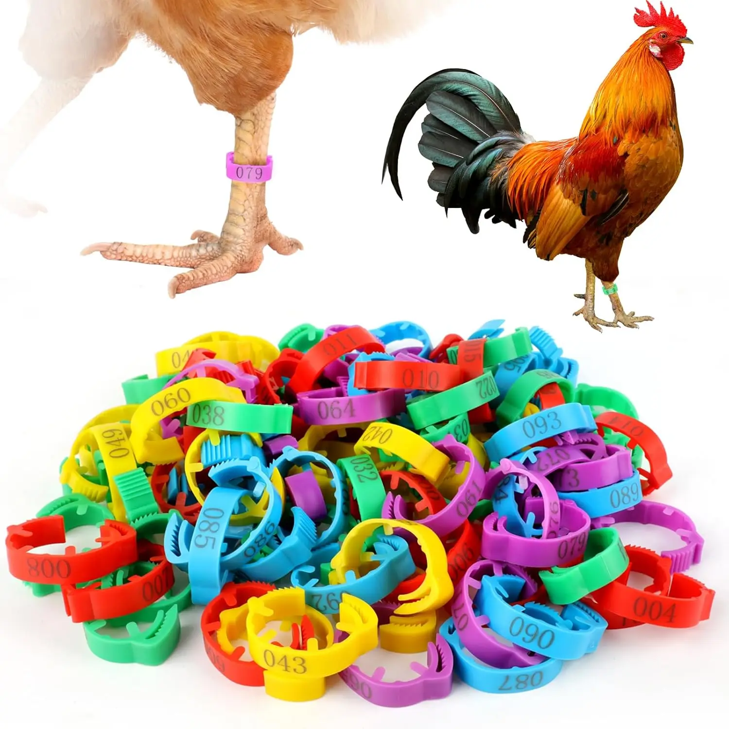

100 Pcs Adjustable Chicken Leg Rings, Multicolor Numbered Chicken Identification Leg Bands, Durable Poultry Leg Bands for Turkey
