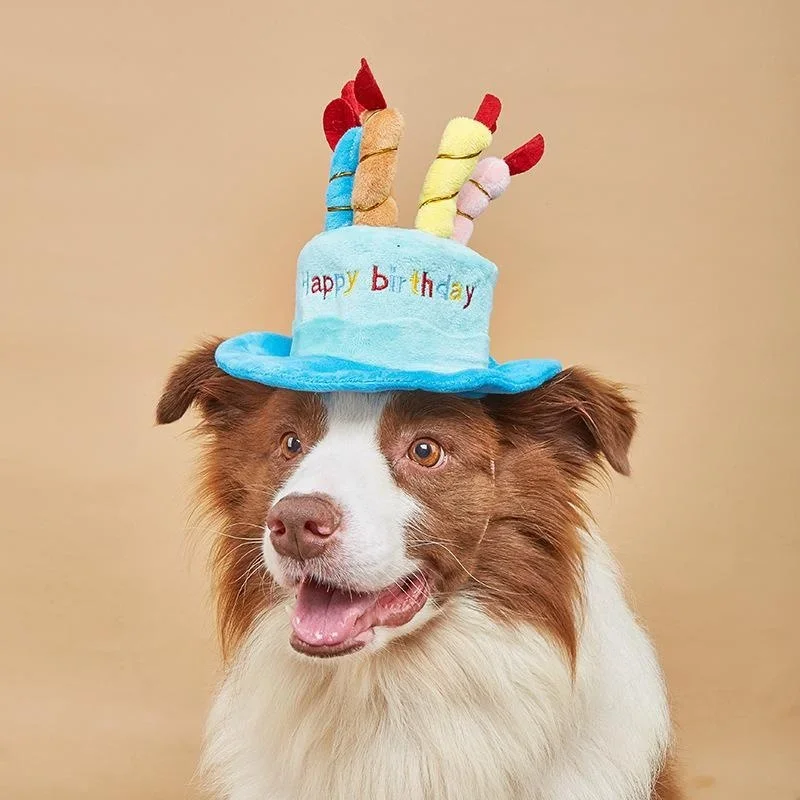 Cute Adorable Dog Cat Birthday Cake Hats Pet Cap Headwear Hat with Candles Design Pet Party Gift Accessories Dog Toys