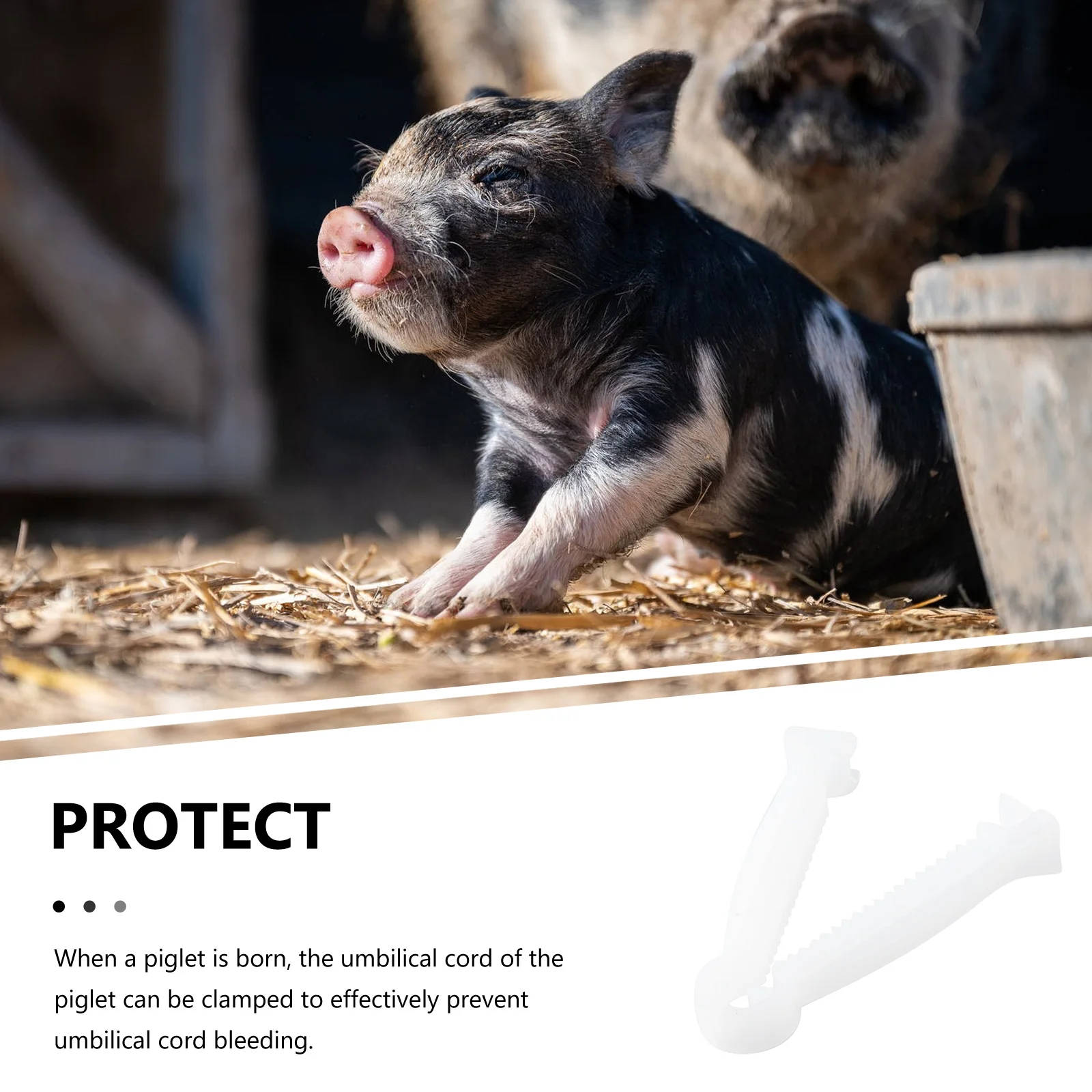 

100pcs Umbilical Cord Clips Disposable Clamps for Pig Pup Newborn Farm Livestock Tools White Non Slip Serrated Design Prevent
