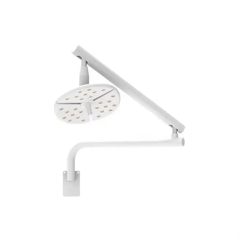 27 Lamp Beads Shadowless Lamp 36W Versatile Wall-Mounted LED Surgical Lighting For Dental, Cosmetic, And Veterinary Procedures