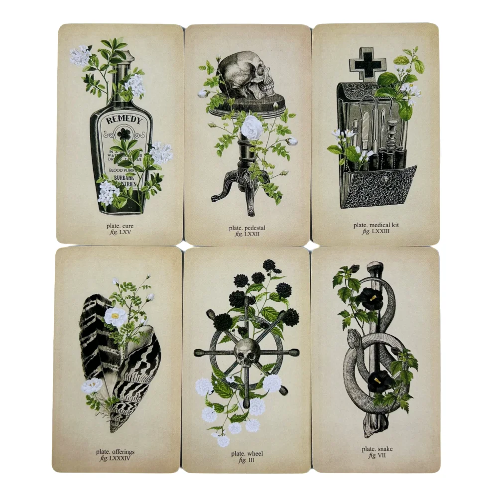 Memento Mori Lenormand und Oracle Deck von Claire Good, ideal für Liebhaber der Wahrsagerei, Geschenk für spirituelle Enthusiasten, Spielkarten – Detail 4
