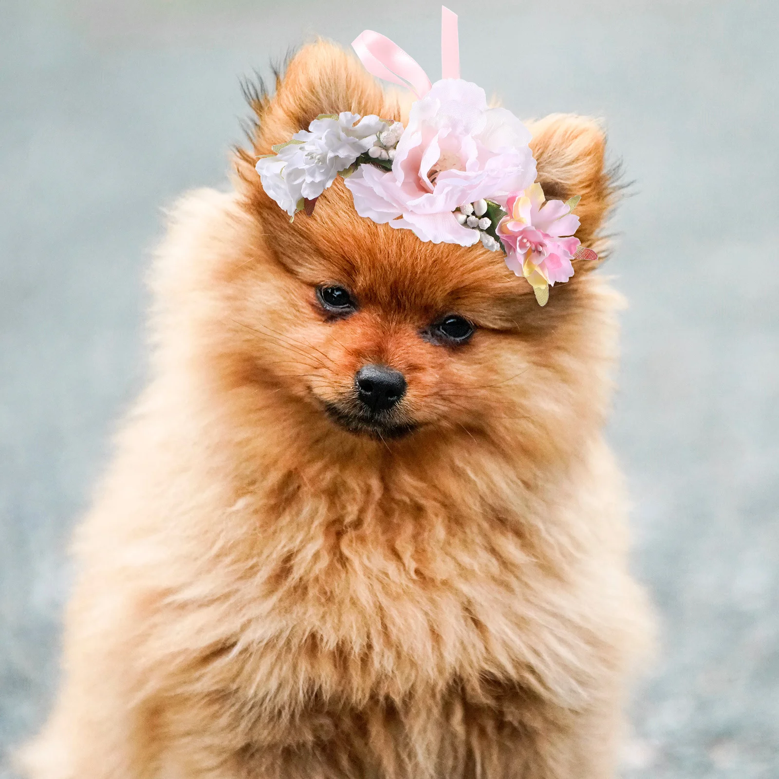

Pet Flower Collar Decorative Reusable Dual Use Comfortable Cat Dog Flower Wreath Headband for Wedding Birthday Daily Wear