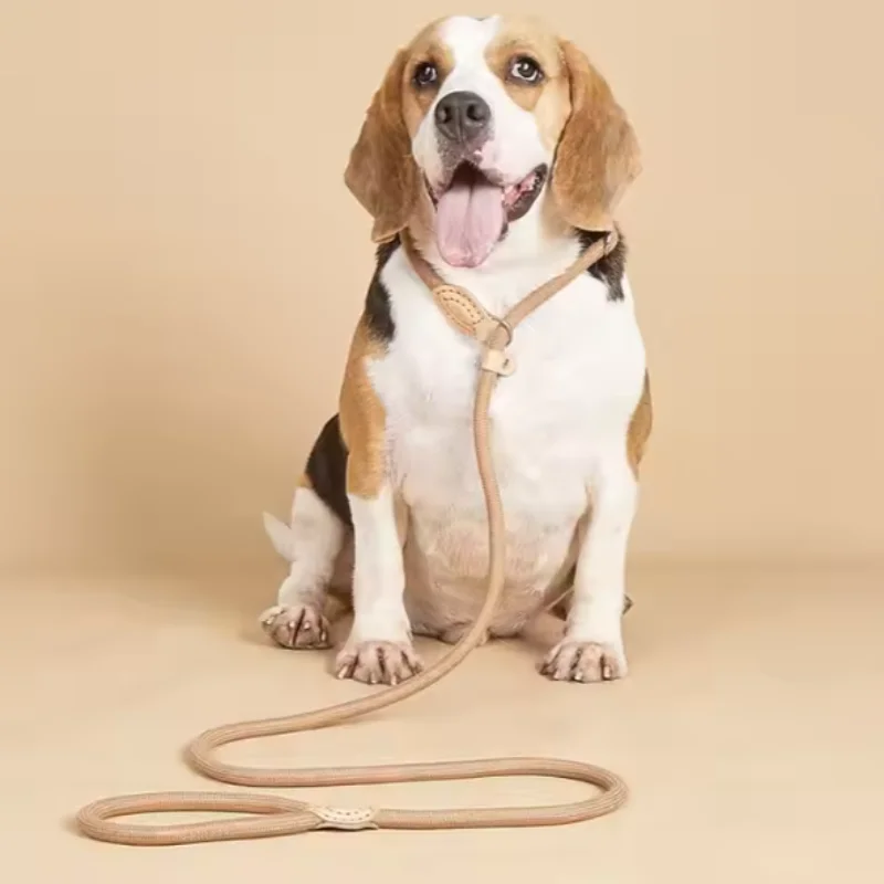 Thumbnail 3 - #49 Best Dog Leads to Buy In 2026
