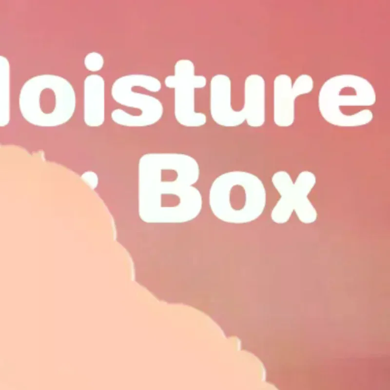 4pcs Large Capacity Moisture Absorber Box Empty Dehumidizer Storage Reusable Wardrobes Bathrooms Living Rooms No Leak Dry