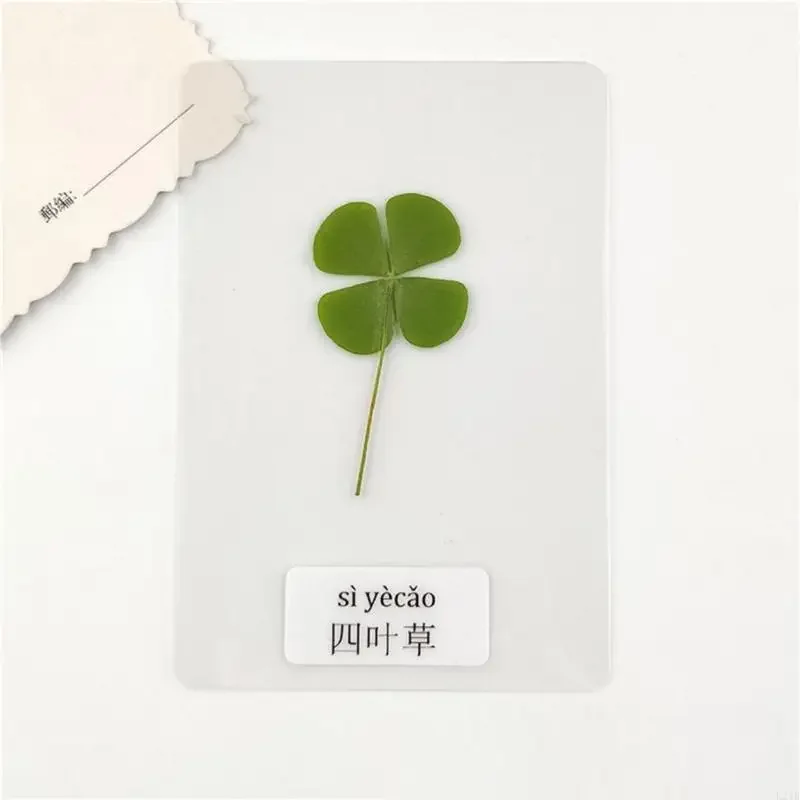 New 5Pcs Natural Dried Leaf Bookmarks Page Divider Decorative Book Page Holder Luck Clover Postcards Transparent Wishing Cards
