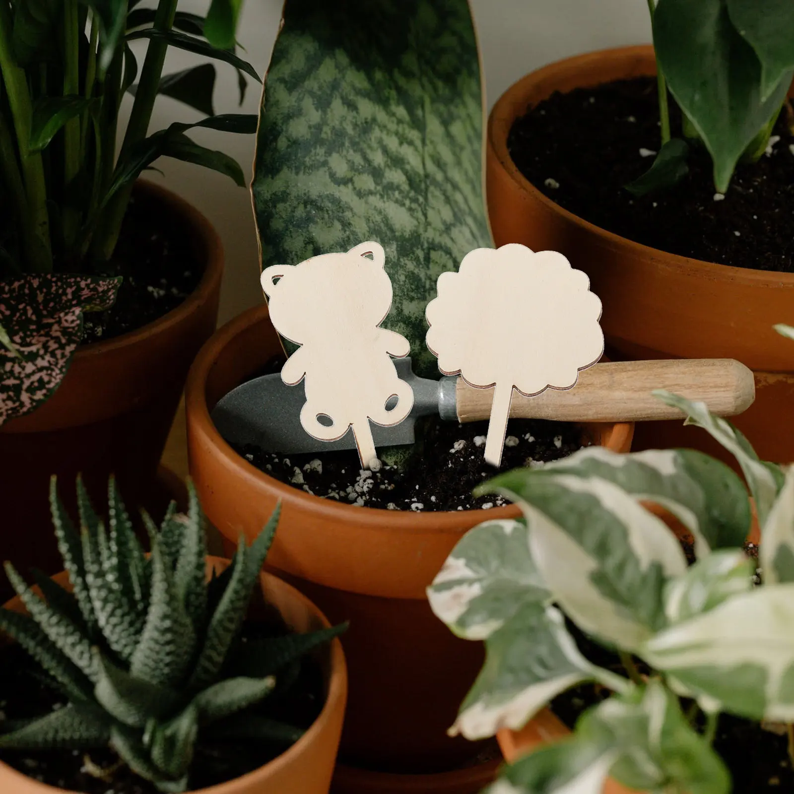 

12Pcs Succulent Plant Labels Wooden Garden Marker Tags for Flower Pot Identification Multi-Purpose Plant Tags Flower Bed Inserts