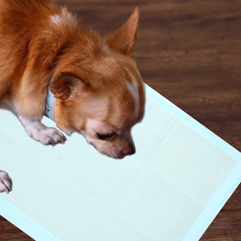 

20Pcs Disposable Dog Pee Mats Super Absorbent Pet Training Pads for Puppies Small Dogs Leakproof Floor Protection Potty Training