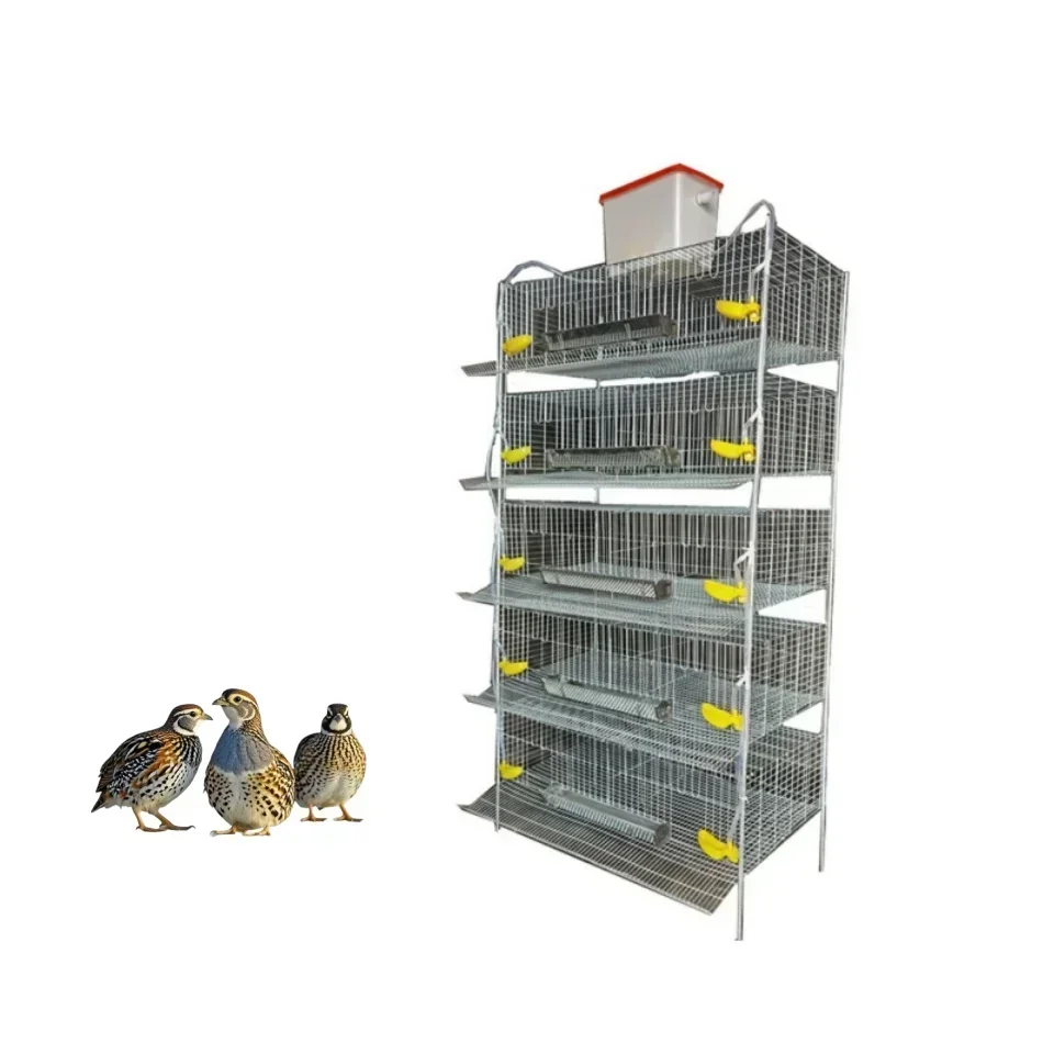 H Type Quail Cage Large Capacity Space-saving and Easy To Install Cage Equipment for Farm Animals Up To 300 Quail.