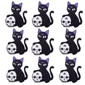 PE6544CT