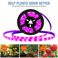 1 roll DC5V Full Spectrum Growing Plants Flower Strip SMD2835 USB Interface Suitable for Indoor Seeds Seedling Germination