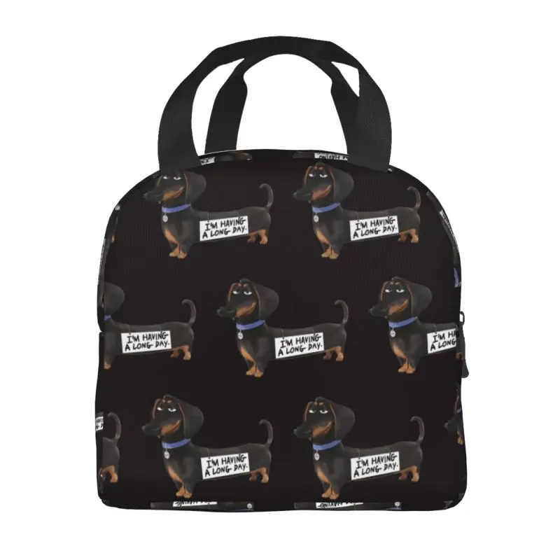 Kawaii Dachshund Thermal Insulated Lunch Bag Sausage Badger Wiener Dog Resuable Lunch for Camping Travel Storage Food Box