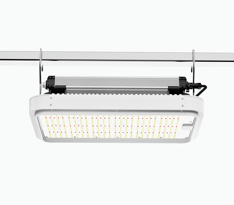 High heat dissipation high power 800w LED Top Lighting greenhouse hydroponic professional plant lamp Samsung 5050 chips