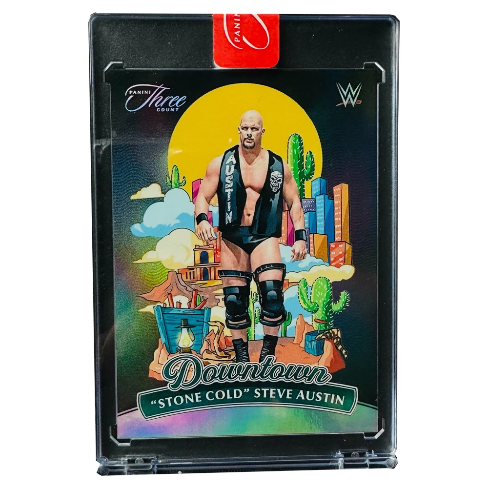 パニーニ DIY ストーンゴールド WWE 署名コレクションカードレンガアンダーテイカー自家製少年クリスマス誕生日プレゼントアクリル装飾品