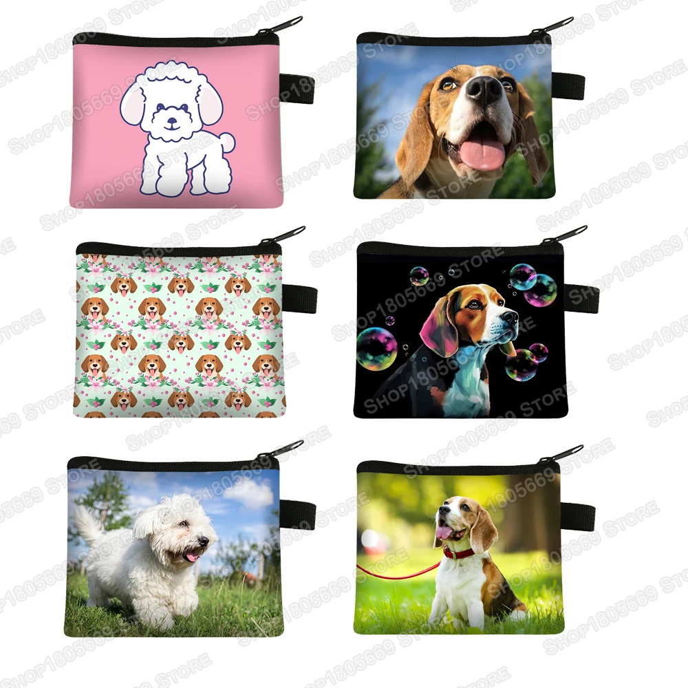 Monedero con estampado de perro Beagle / Bichon Frise para mujer, carteras informales, Mini bolso de mano de animales, identificación, tarjeta de crédito, bolsas de dinero, regalo