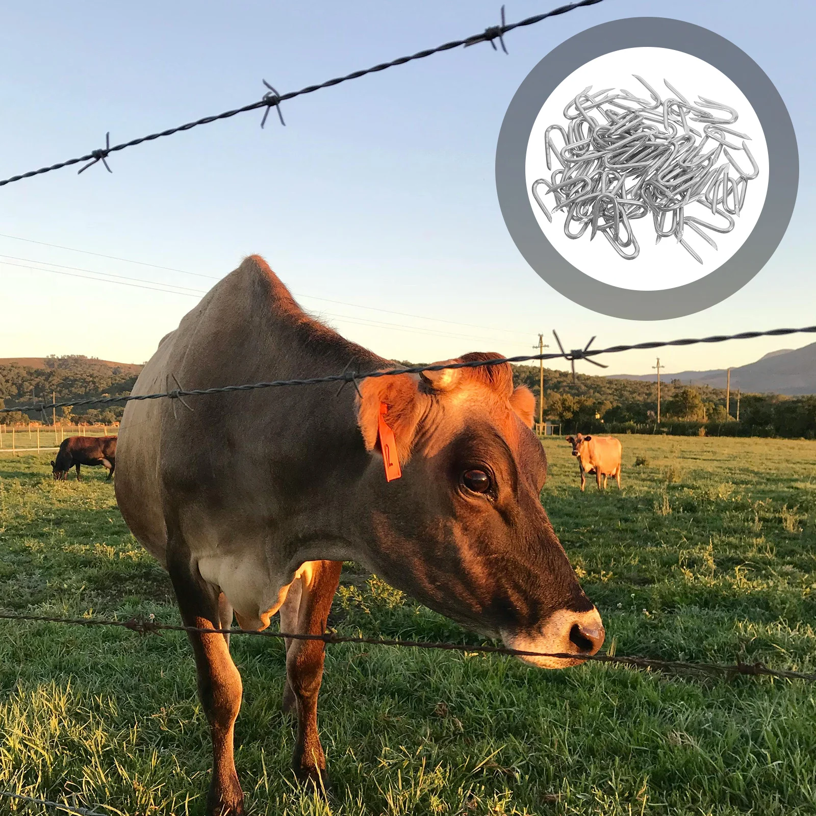 

200Pcs U-Shaped Nails Strong Metal Fence Staples Fixing Wire Fencing Wood Durable Fasteners U Shaped Nail Fence Coil Nails