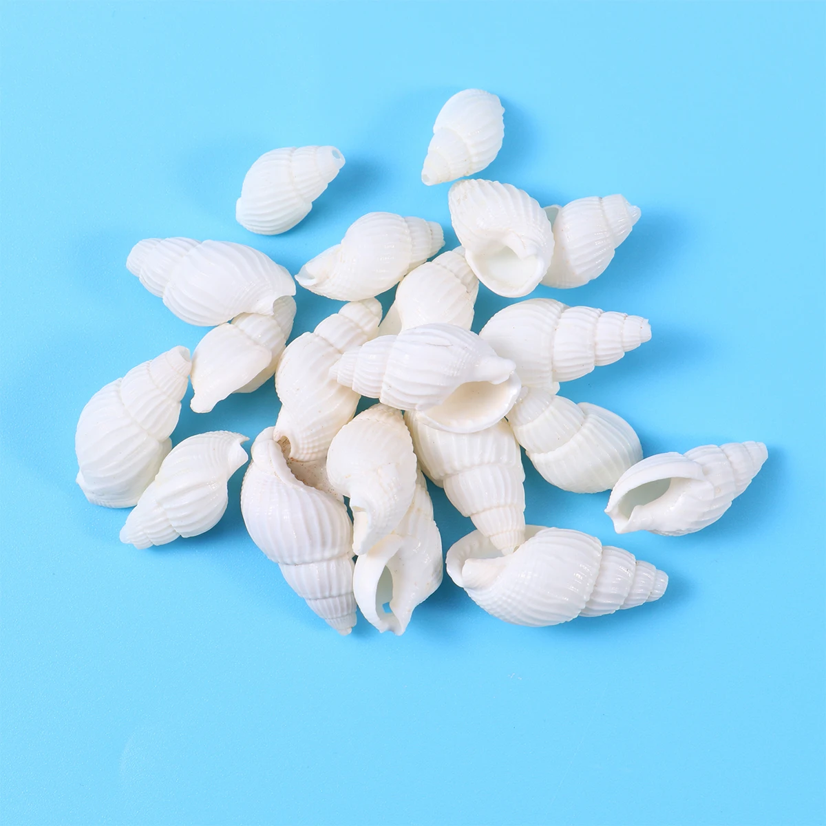 

150pcs DIY Shell Wind Chime Accessories Natural Sea Style Decor Punch Conch Jewelry naments Lightweight Elegant Party Wedding