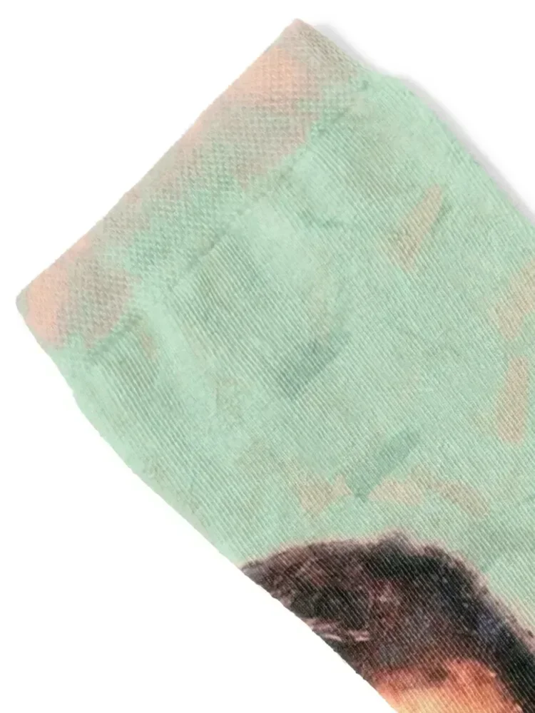 Rock Hudson Socken Knöchel Klettern ästhetische verrückte Herrensocken Damen