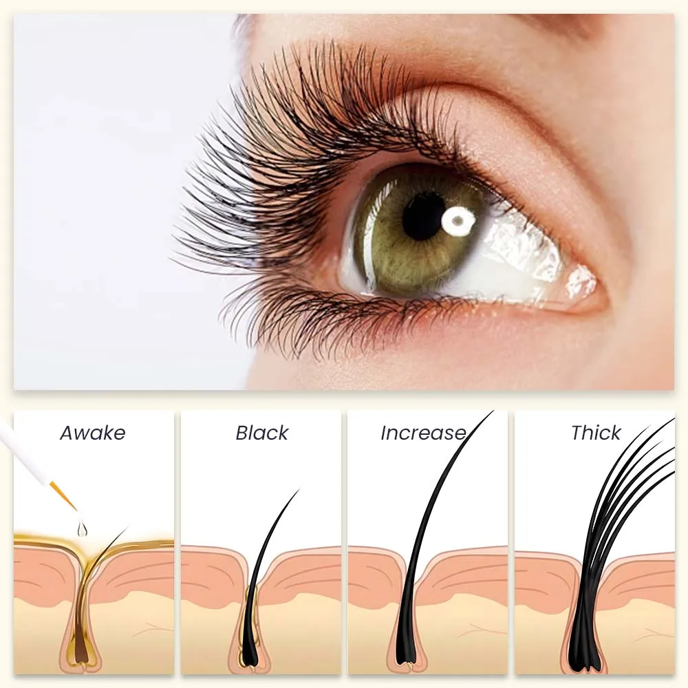 Gollee-suero de crecimiento Natural para pestañas, tratamiento rápido, líquido para mejorar las cejas, cuidado de 7 días, maquillaje nutritivo para folículos más gruesos