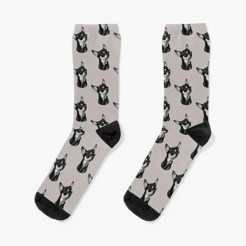 Calcetines con estampado de Chihuahua para hombre y mujer, medias estampadas de estilo hip hop, novedad