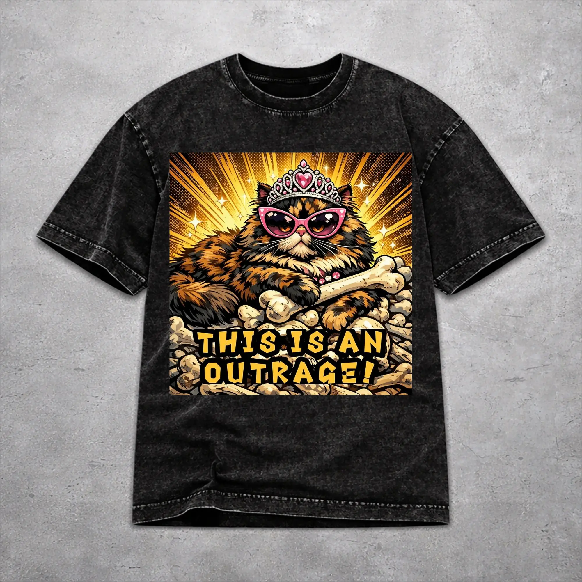 Stylish This Is An Outrage Princess Donut Cat  Outfit T Shirt for Men Women  Washed Style Tee Shirt Clothing