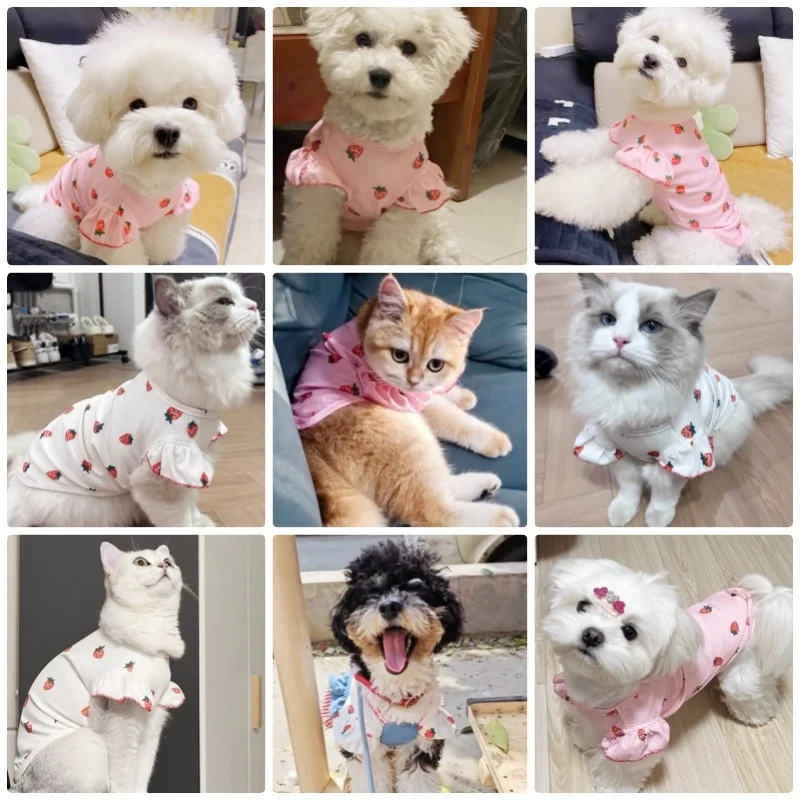 Fashion Dog Shirt Summer Dog Clothes Cute Print Puppy Vest Breathable Cat Shirt Pet Costumes Chihuahua Clothes Pet Dog Supplies