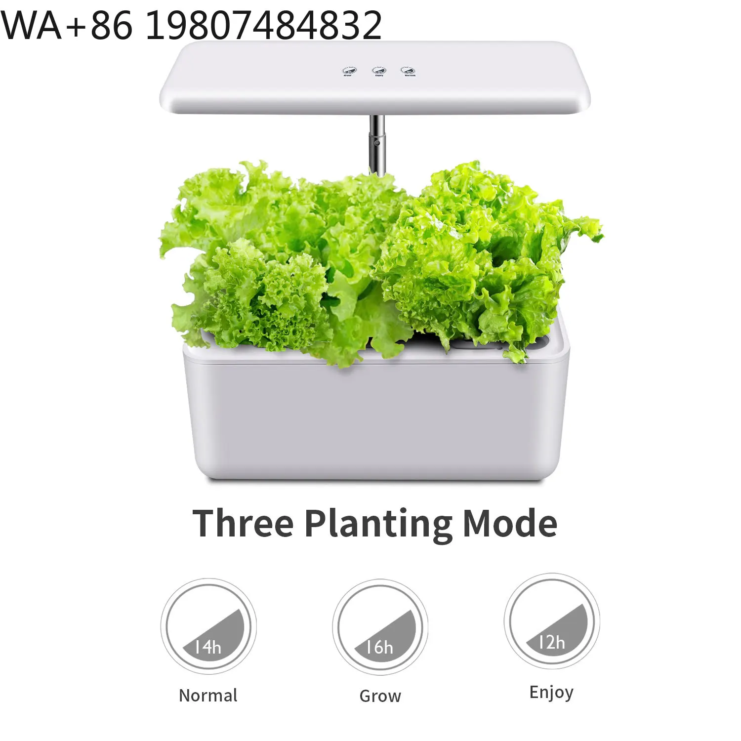 Modern 7 Pod Compact Hydroponic Cultivation Pot Timing Full Spectrum LED Light Auto Circulation Soilless Gear For Small