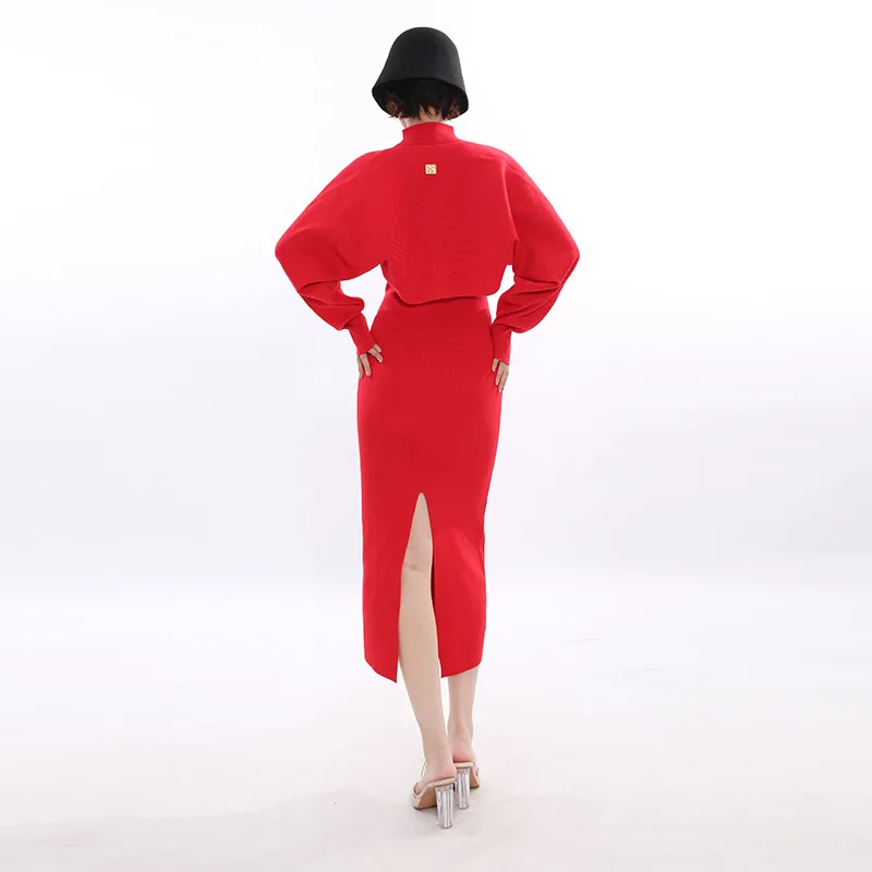 フランスのエレガントな気質を持つ社交界の女性向け、長袖ベスト、スタンドカラー、ノースリーブ、ハイウエスト、ボディコン、スリット入りの赤いドレス