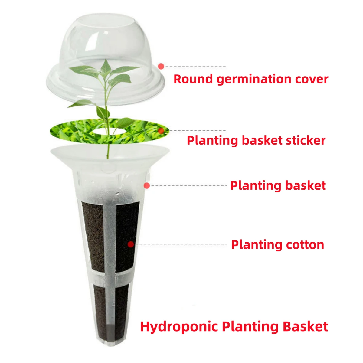 Hydroponic Vegetable Planting Basket Soilless Cultivation Planting Kit Seedling Block Planting Cup Garden Growing 20/50/100 Sets