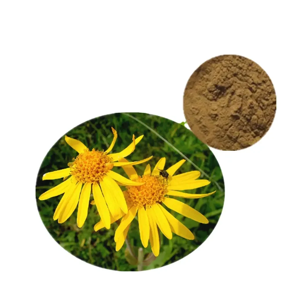 Free Shipping 100-1000g  Arnica Montana Extract