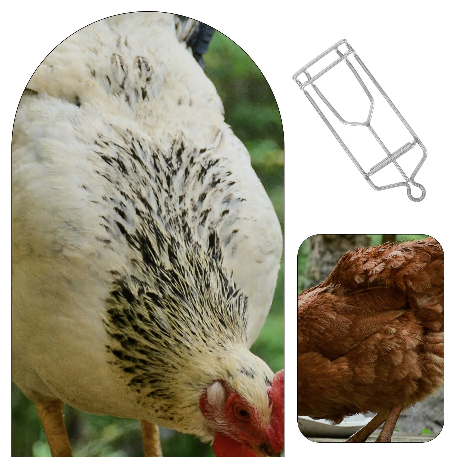 

Stainless Steel Meat Hook Multifunctional Kitchen Hook for Hanging Meat Fish Poultry Butchering Drying Smoking